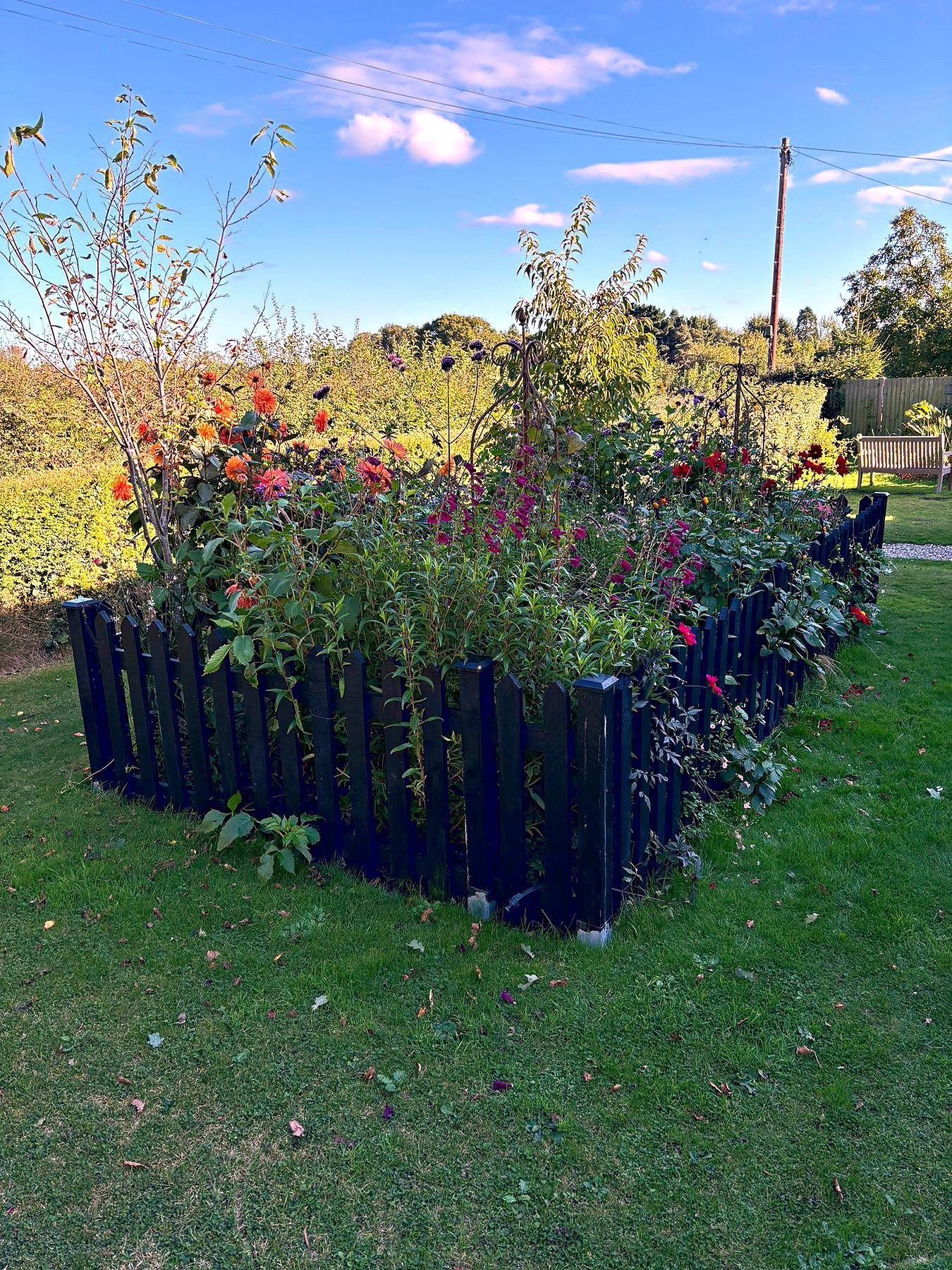 Black timber picket fence built around a newly planted flower bed
